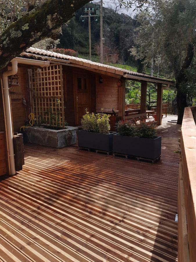 Le Chalet De Valentine & Laurent Olmiccia Exterior foto